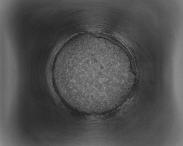 X0000100470241200806271147