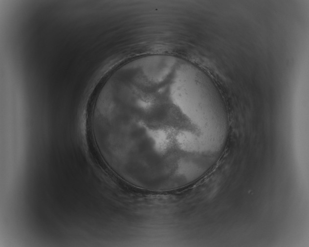 X0000100470242200806271147