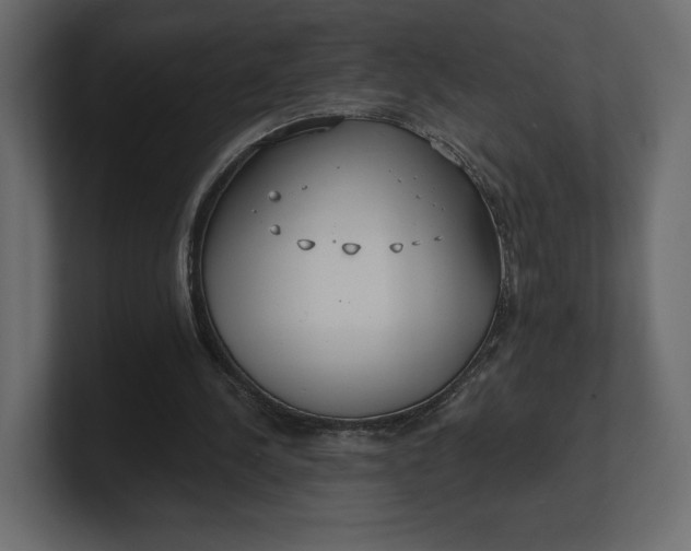 X0000100470244200806271147