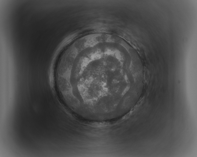 X0000100470245200806271147