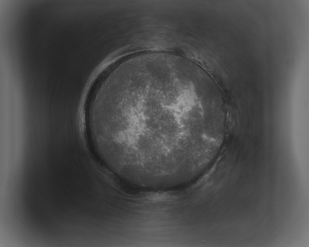 X0000100470246200806271147