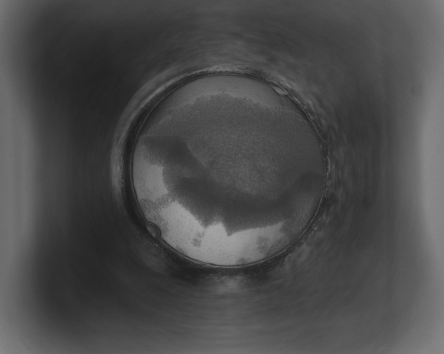 X0000100470247200806271147