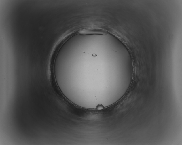 X0000100470248200806271147