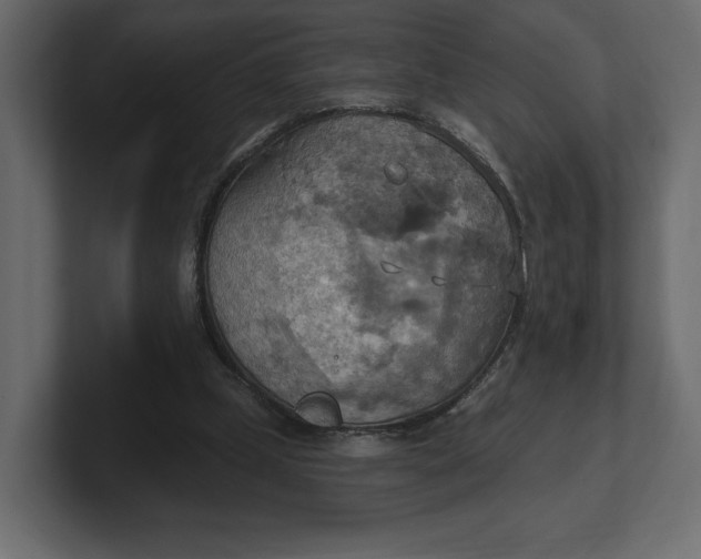 X0000100470249200806271147