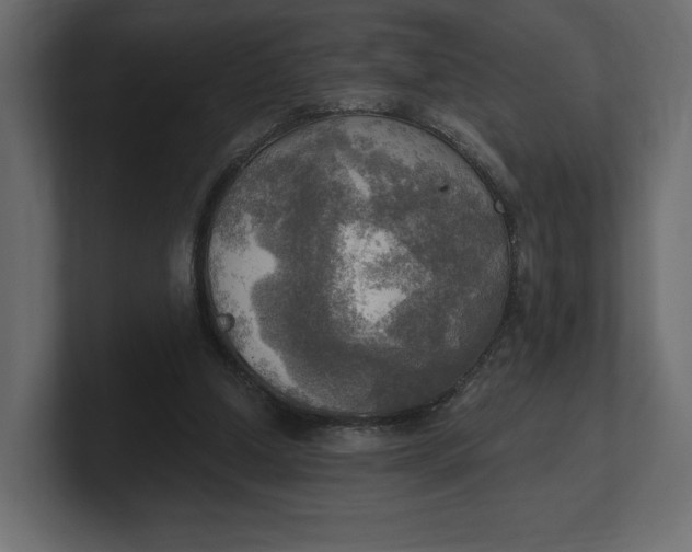 X0000100470250200806271147