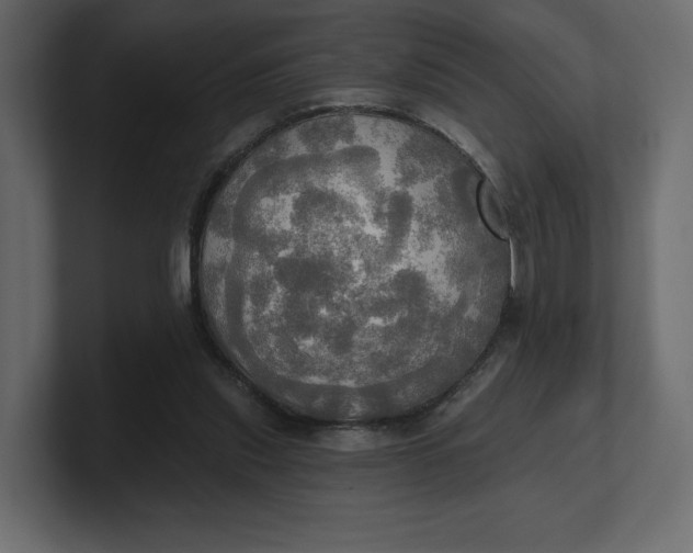 X0000100470253200806271147