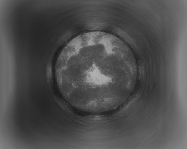 X0000100470254200806271147