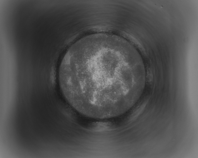 X0000100470255200806271147