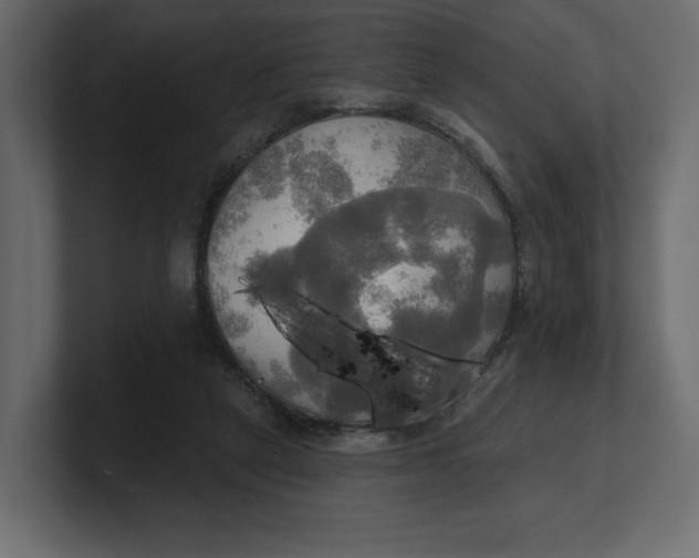 X0000100470257200806271147