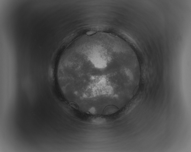 X0000100470258200806271147