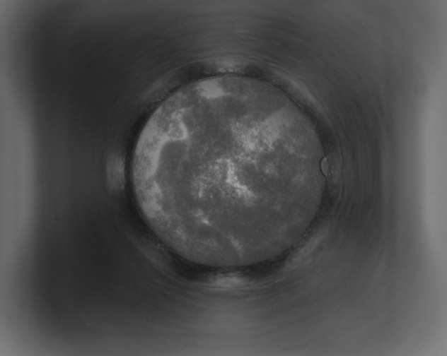 X0000100470262200806271147