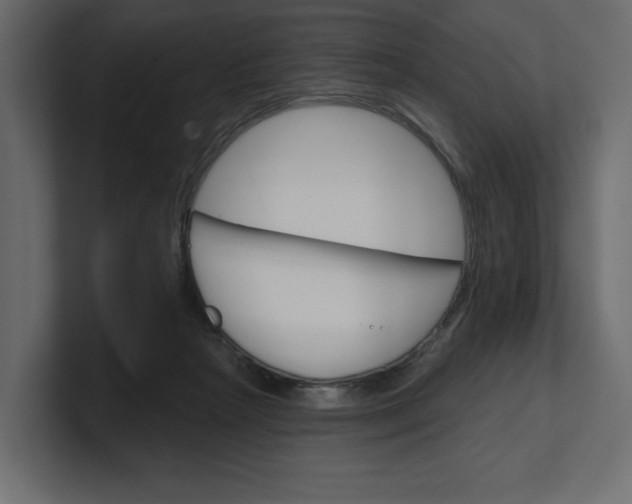 X0000100470265200806271147