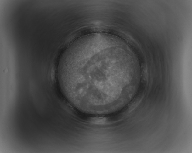 X0000100470266200806271147