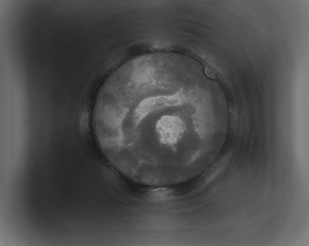 X0000100470269200806271147