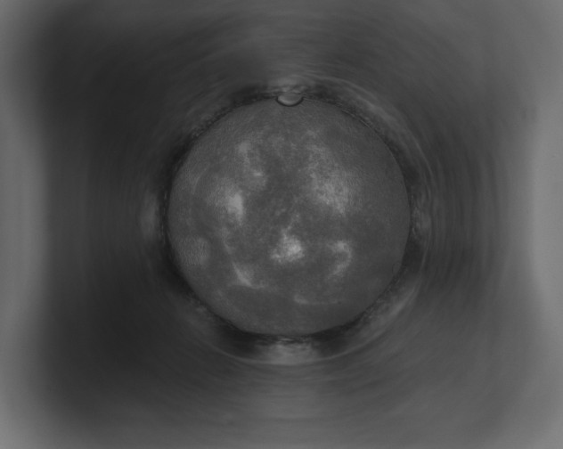 X0000100470270200806271148