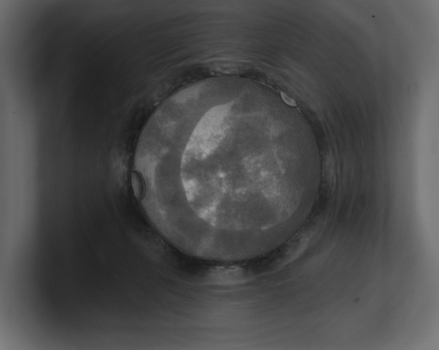 X0000100470271200806271148