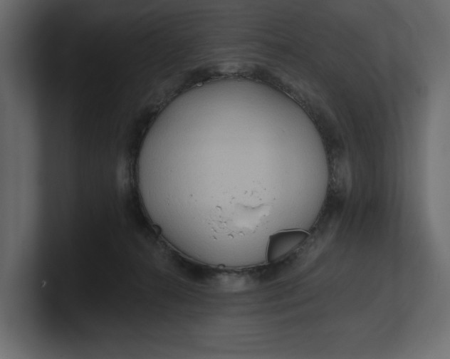 X0000100470272200806271148