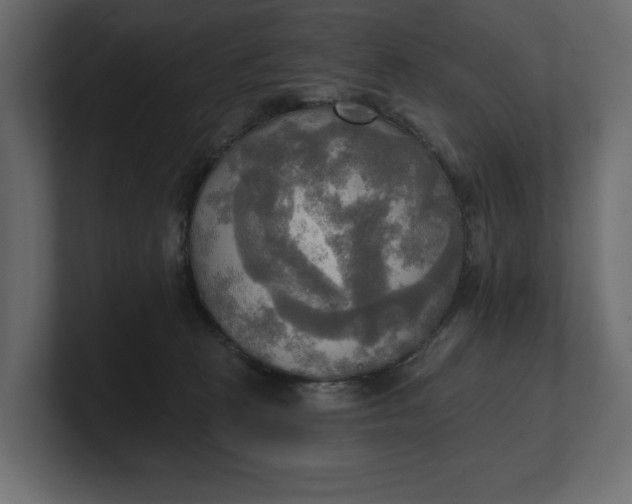 X0000100470273200806271148