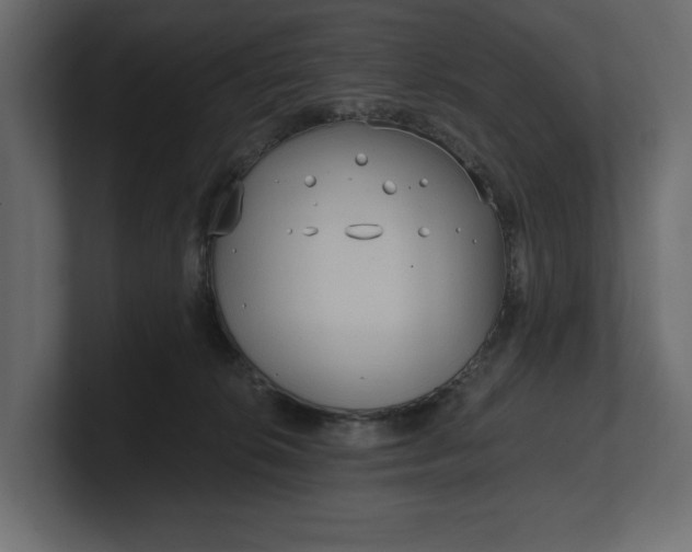 X0000100470276200806271148