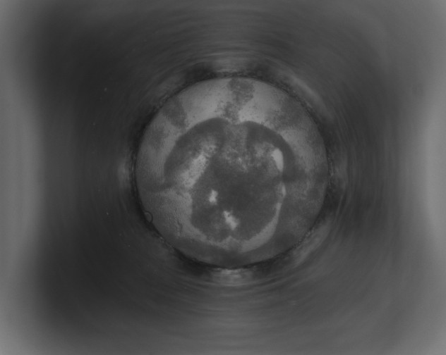 X0000100470277200806271148