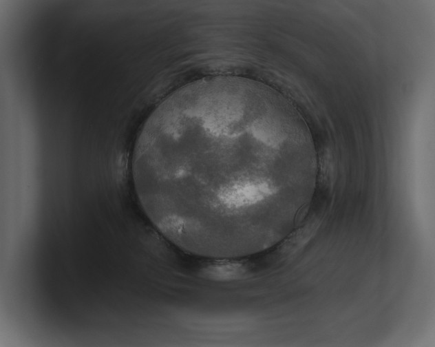 X0000100470278200806271148