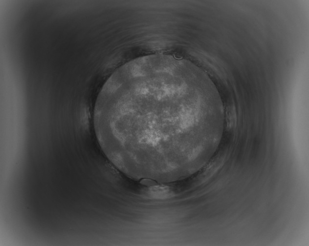 X0000100470279200806271148