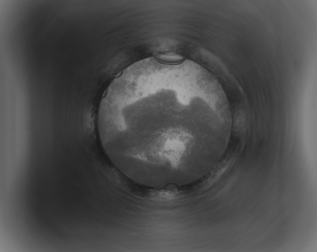 X0000100470282200806271148