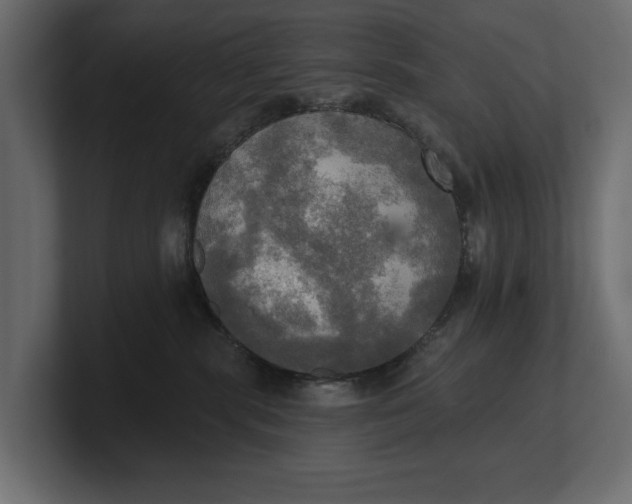 X0000100470283200806271148