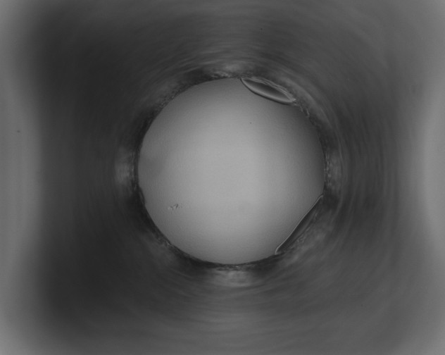 X0000100470284200806271148