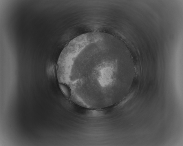 X0000100470286200806271148