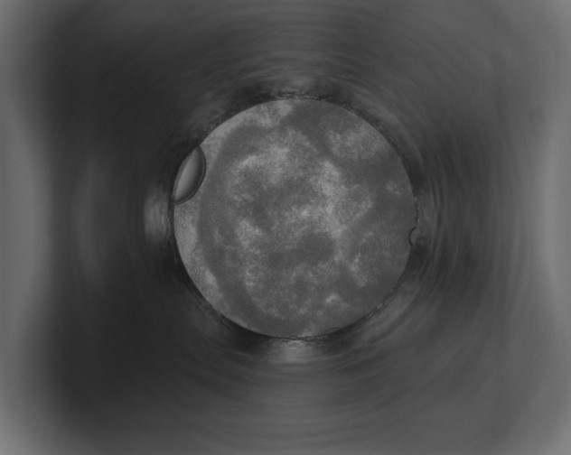 X0000100470287200806271148