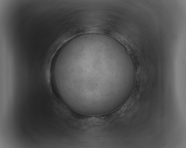 X0000100470290200806271147