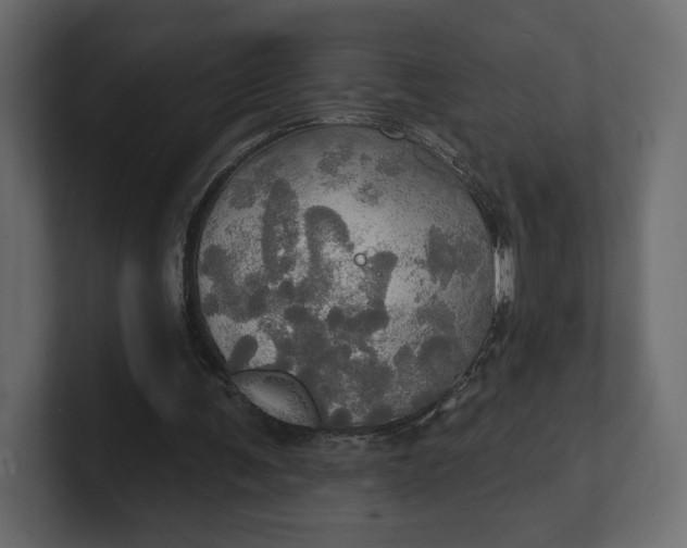 X0000100470291200806271147