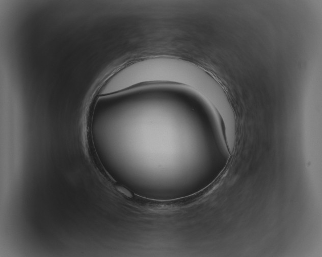 X0000100470293200806271147