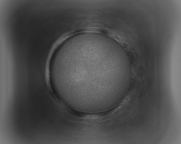 X0000100470294200806271147