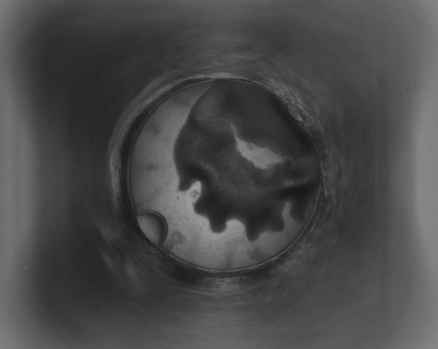 X0000100470295200806271147