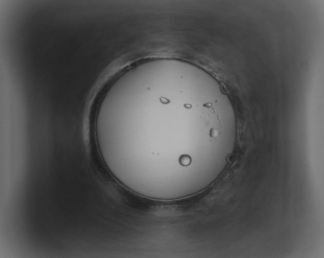 X0000100470296200806271147