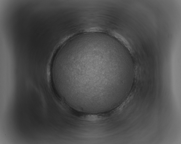 X0000100470298200806271147