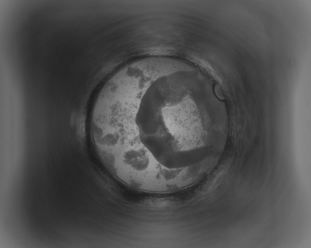 X0000100470299200806271147