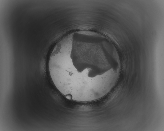 X0000100470303200806271147