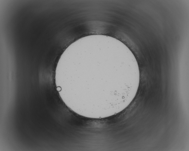 X0000100470305200806271147