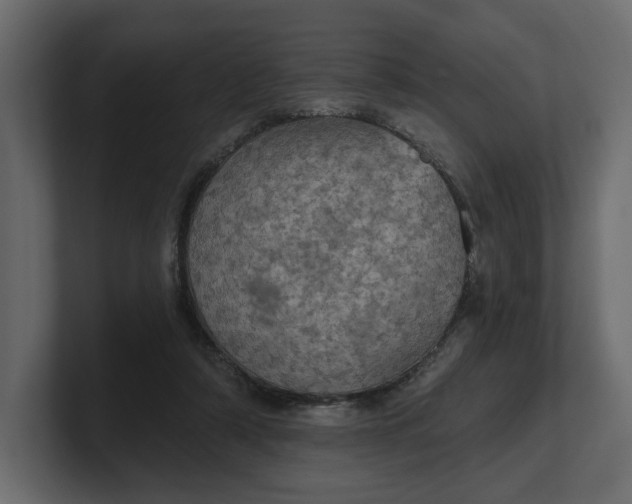 X0000100470306200806271147