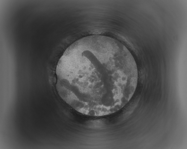 X0000100470307200806271147