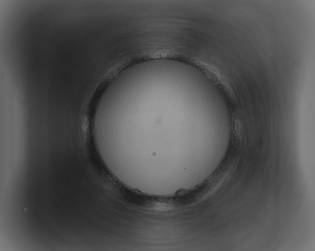 X0000100470308200806271147