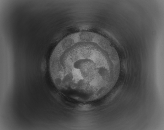 X0000100470311200806271147