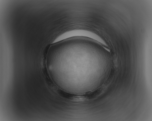 X0000100470316200806271147