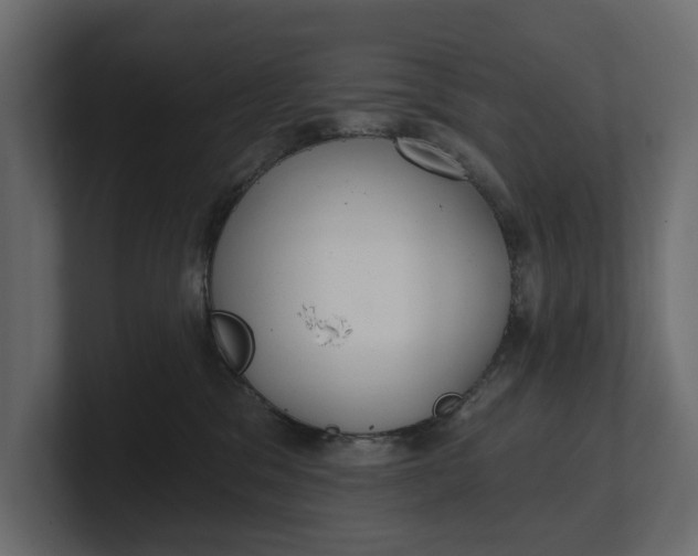 X0000100470329200806271147