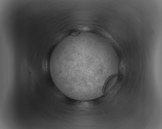 X0000100470330200806271147