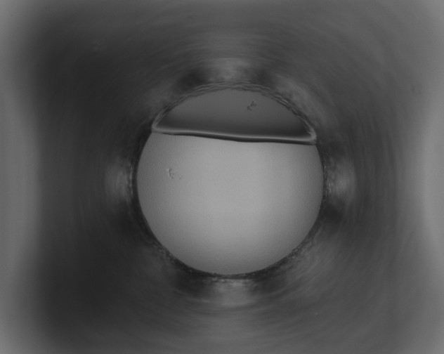 X0000100470332200806271147