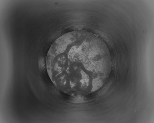 X0000100470335200806271146